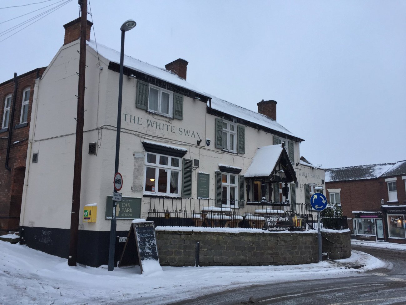 Photograph of White Swan in the snow