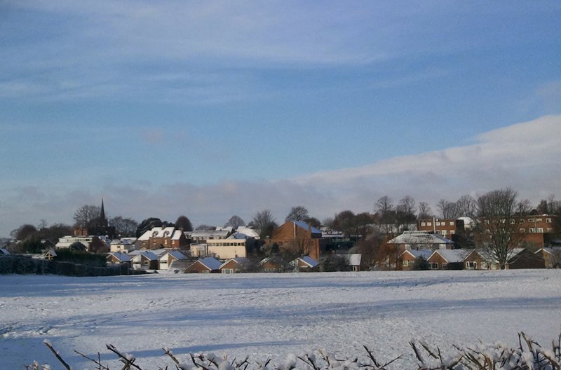 Photograph of Snow on South Avenue Park