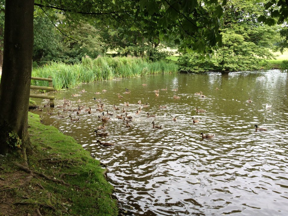 Photograph of Locko Park Lake