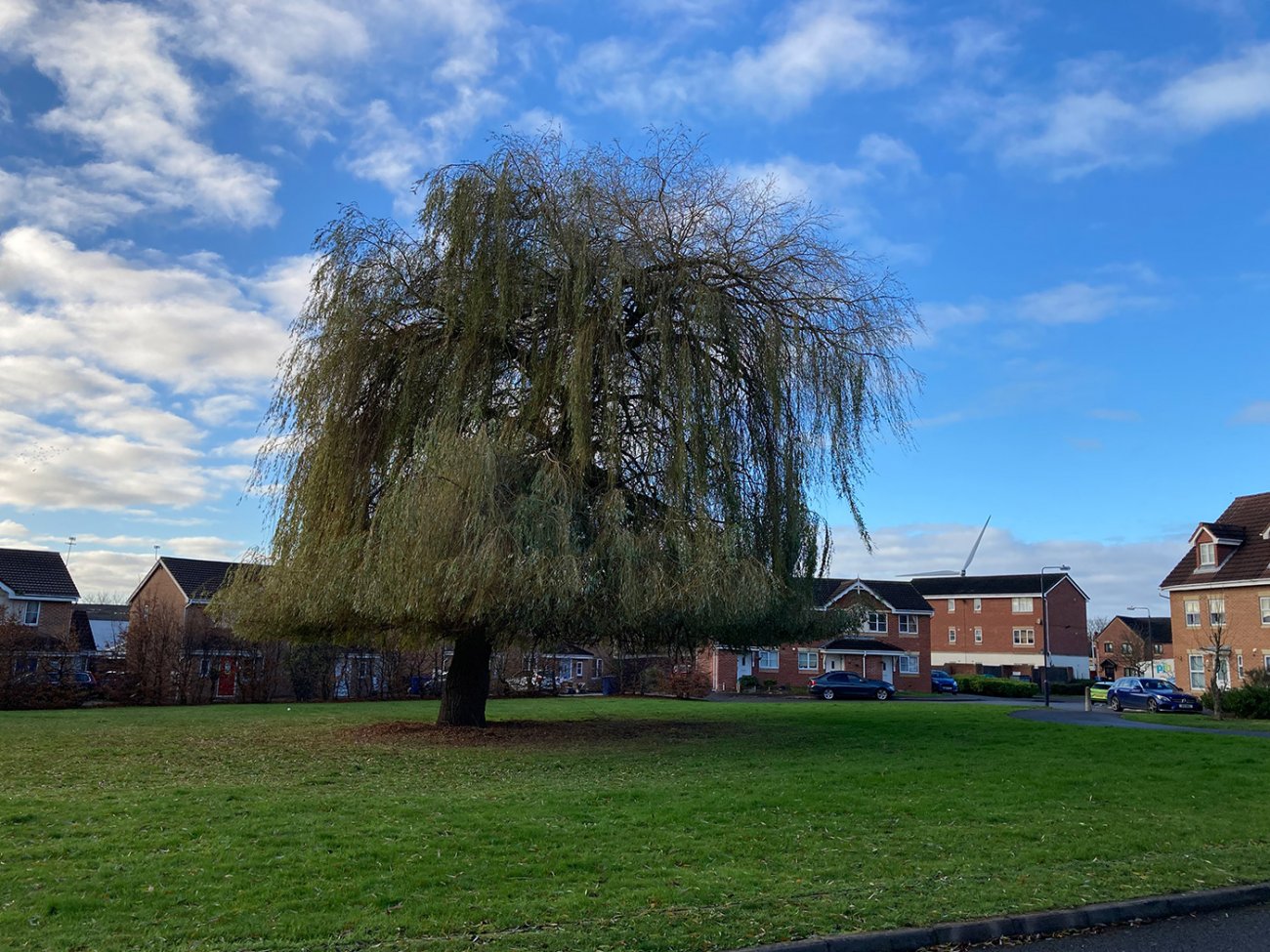 Photograph of Willowside Green